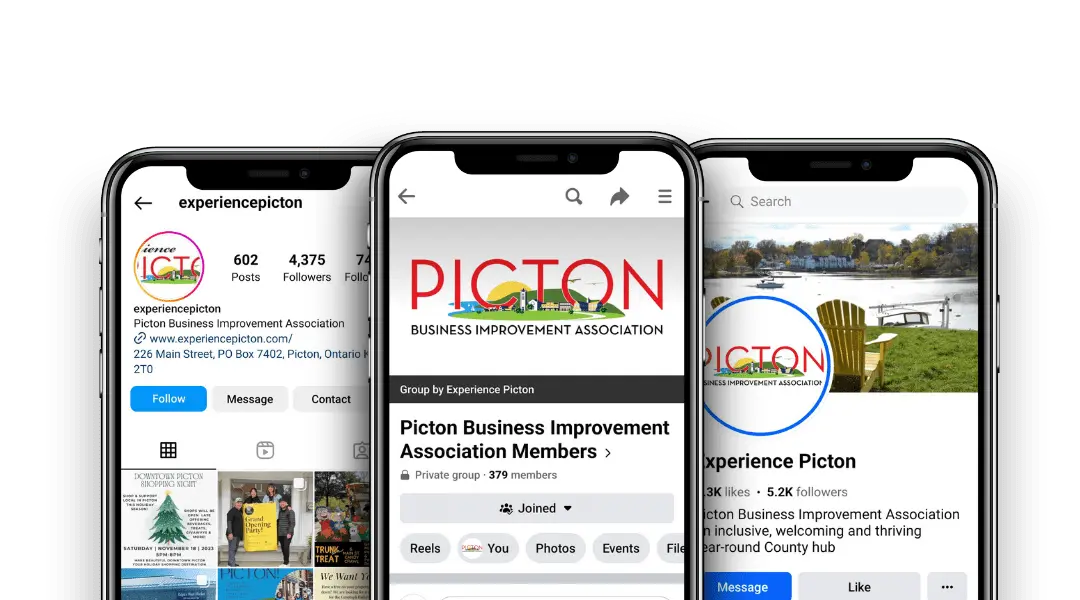 social profiles of experience picton