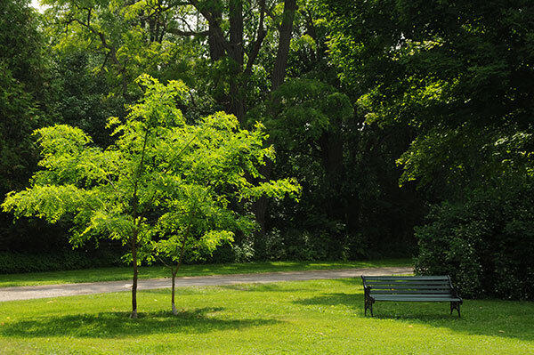Macauley Heritage Park