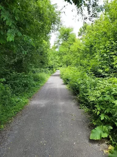 Millenium Trail